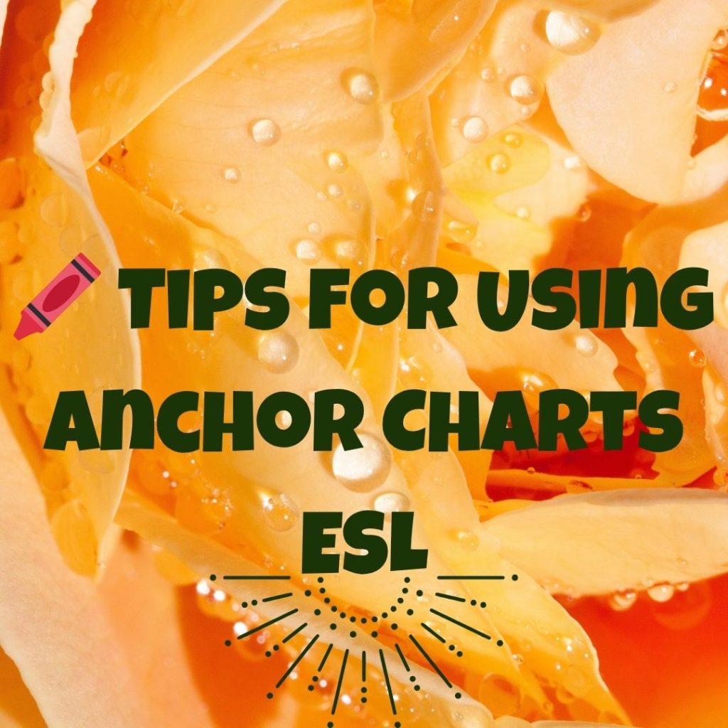 anchor charts